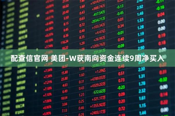 配查信官网 美团-W获南向资金连续9周净买入